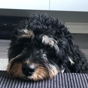 Meet your Posher, Angie